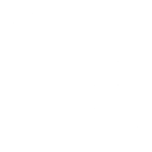 Telephone Icon